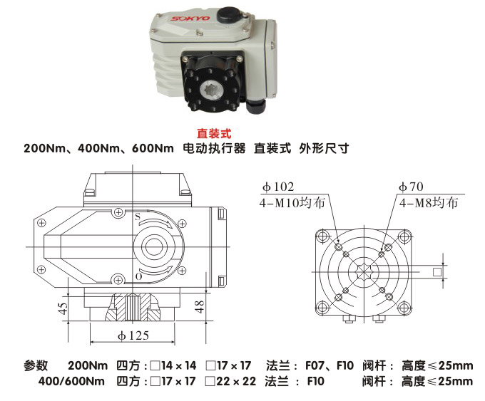 電動執(zhí)行器,電動頭,YTDG-RS400電動執(zhí)行機(jī)構(gòu)結(jié)構(gòu)圖,直裝式